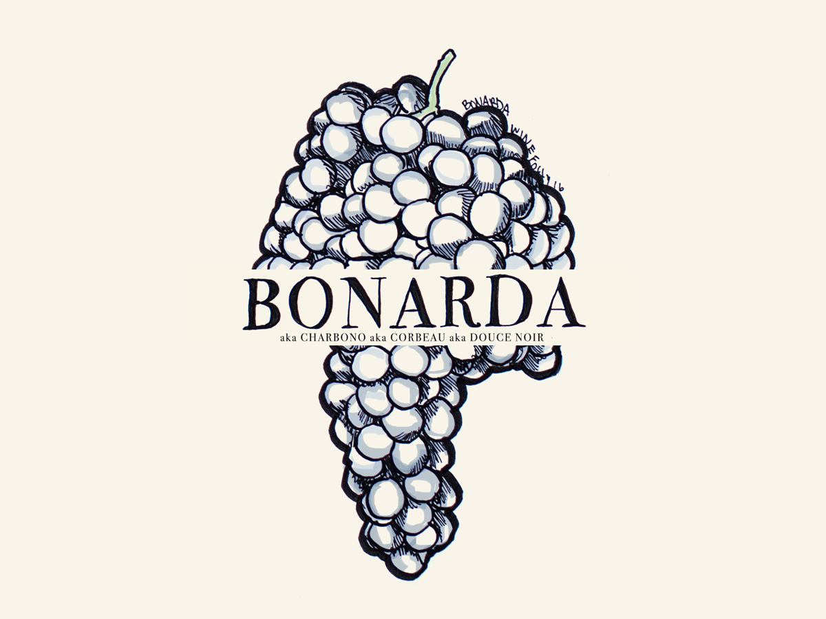 Bonarda (aka Charbono, Corbeau, Douce Noir) wine grapes illustration - Wine Folly