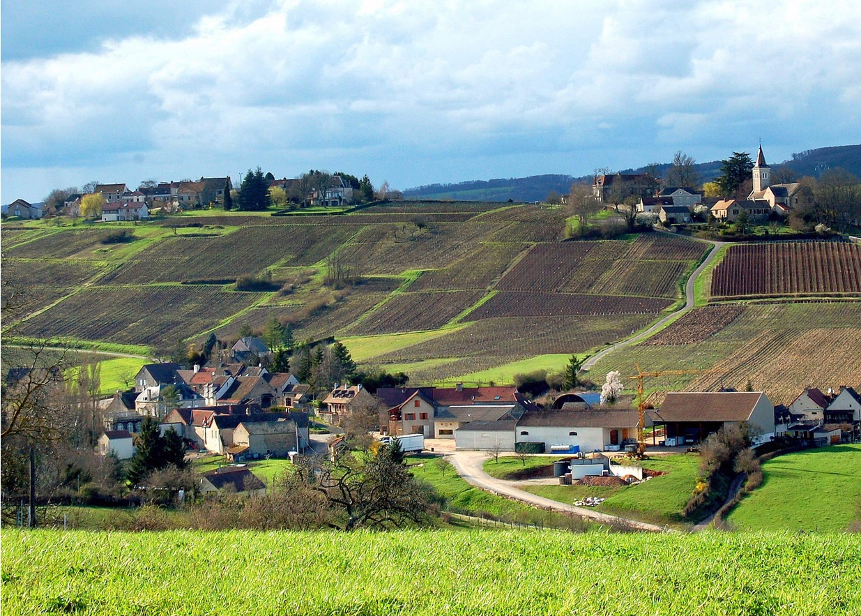 CĂ´te Chalonnaise Burgundy Wine Region Picture