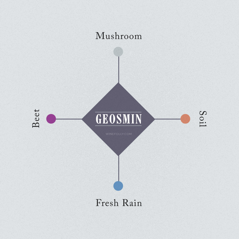 geosmin-wine-flavors