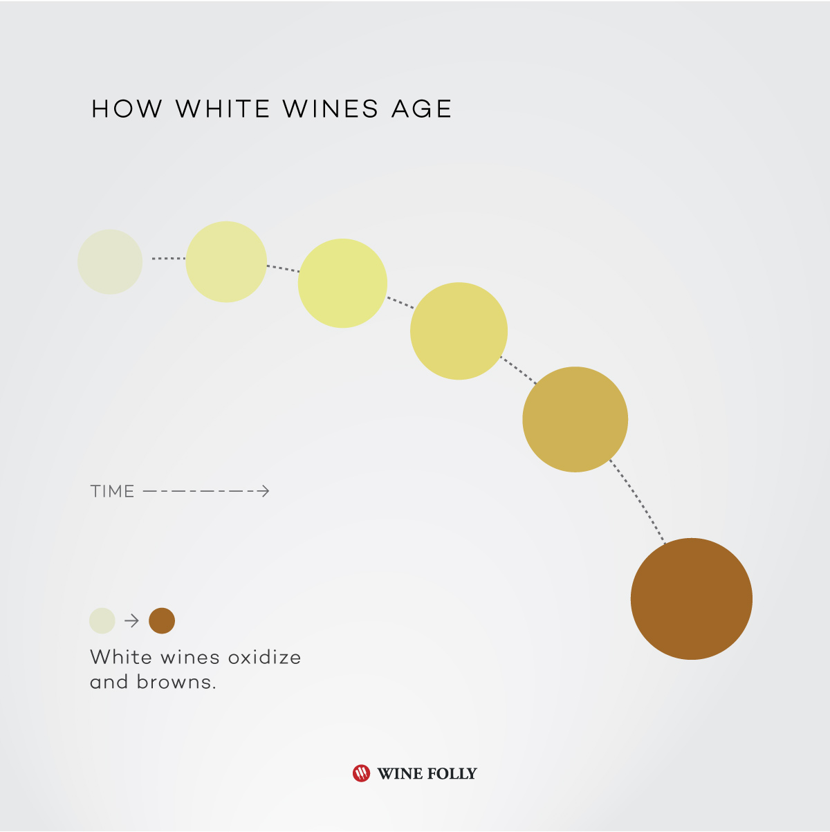 How white wines age - infographic by Wine Folly