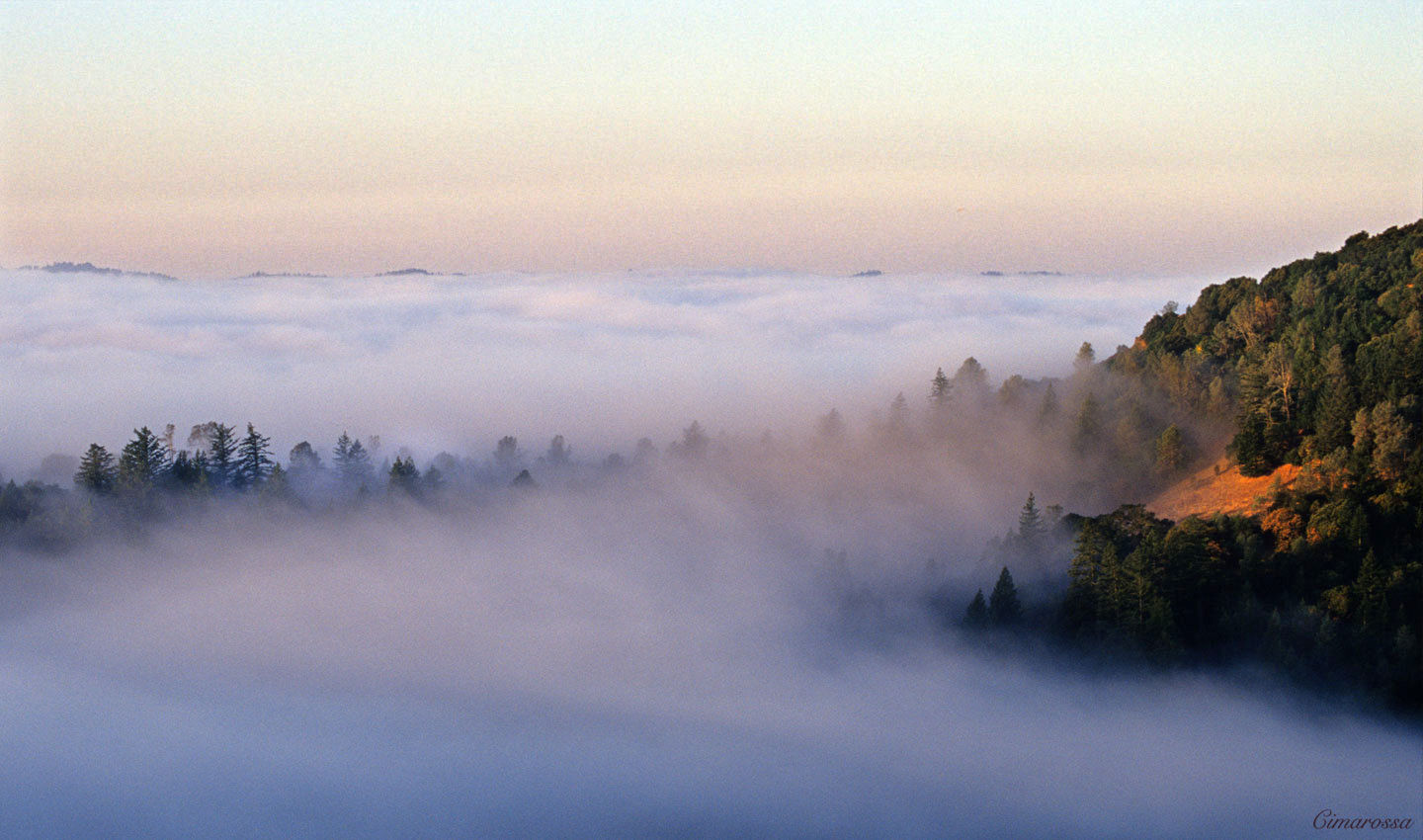 howell mountain napa hillside view cimarossa howell mountain napa hillside view cimarossa