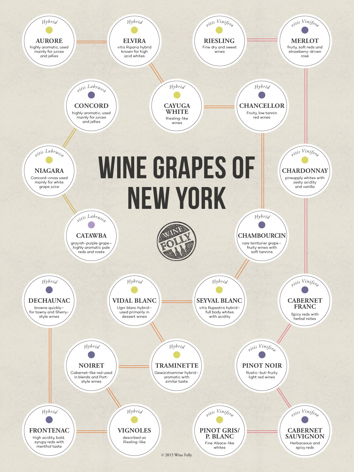 The wine grapes of New York by Wine Folly