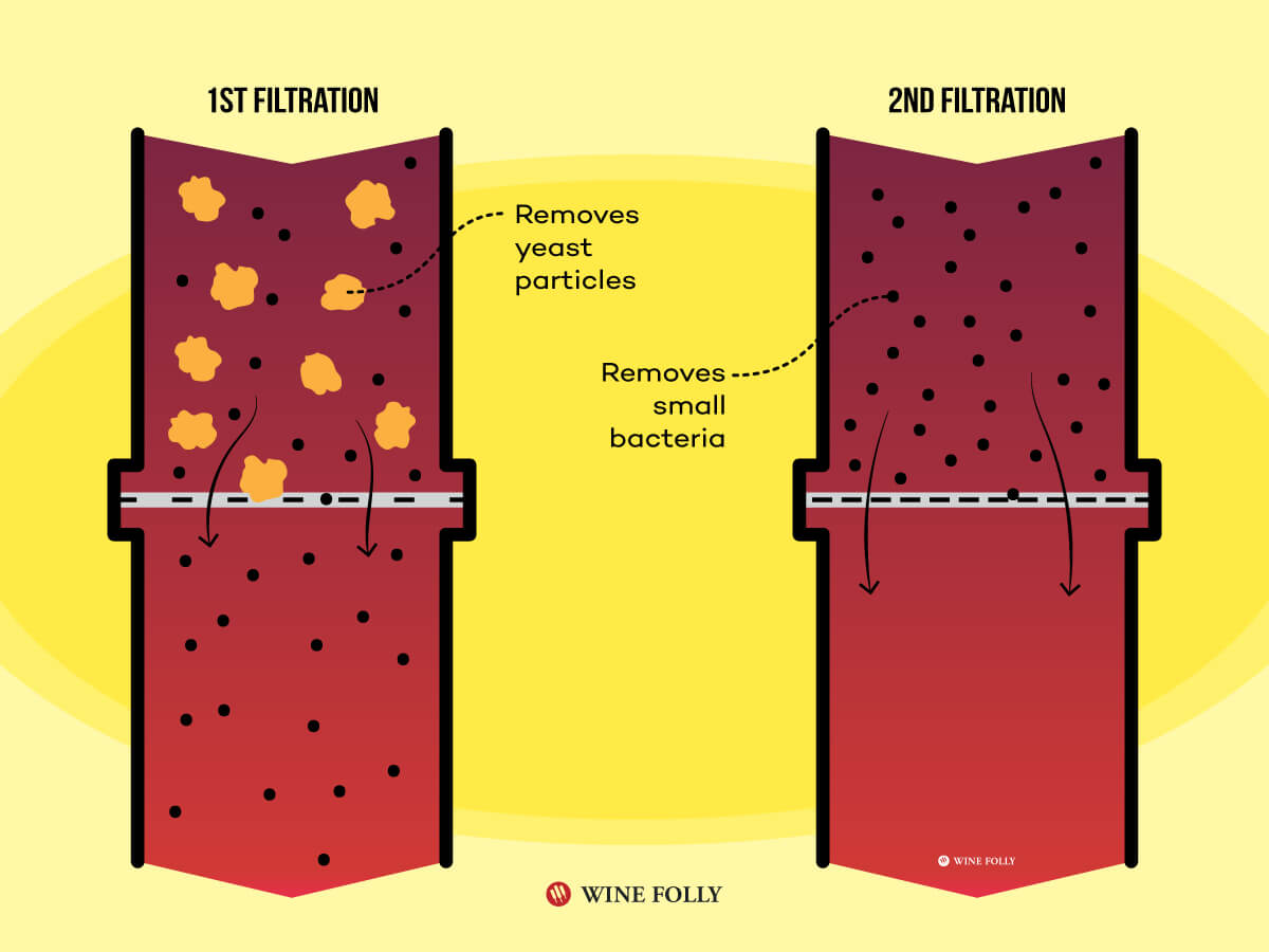 2 filters - Wine Filtration Diagram by Wine Folly