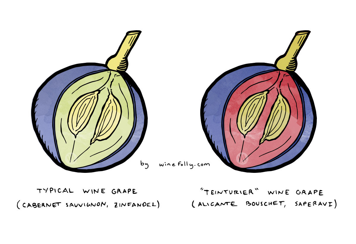 wine-grapes-insides-teinturer-winefolly
