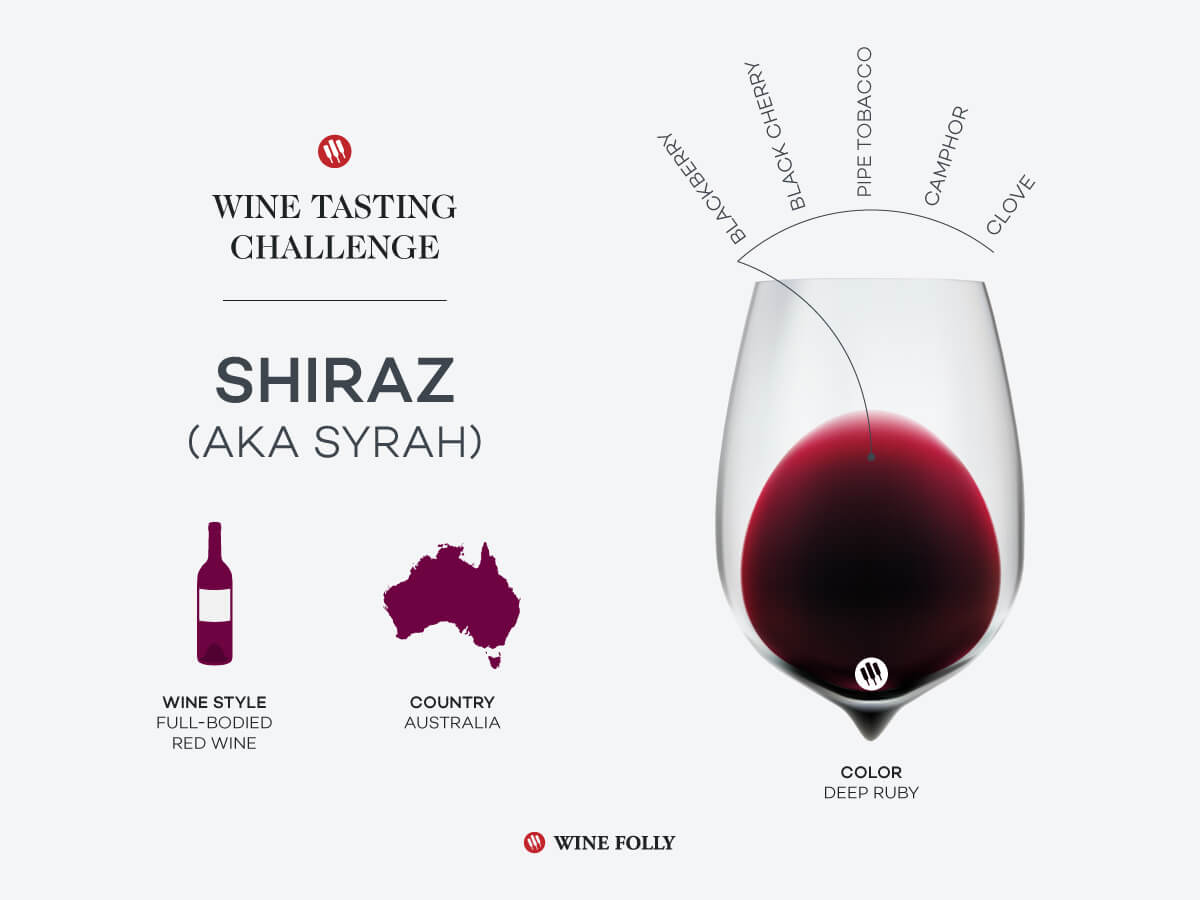 wine-tasting-challenge-shiraz