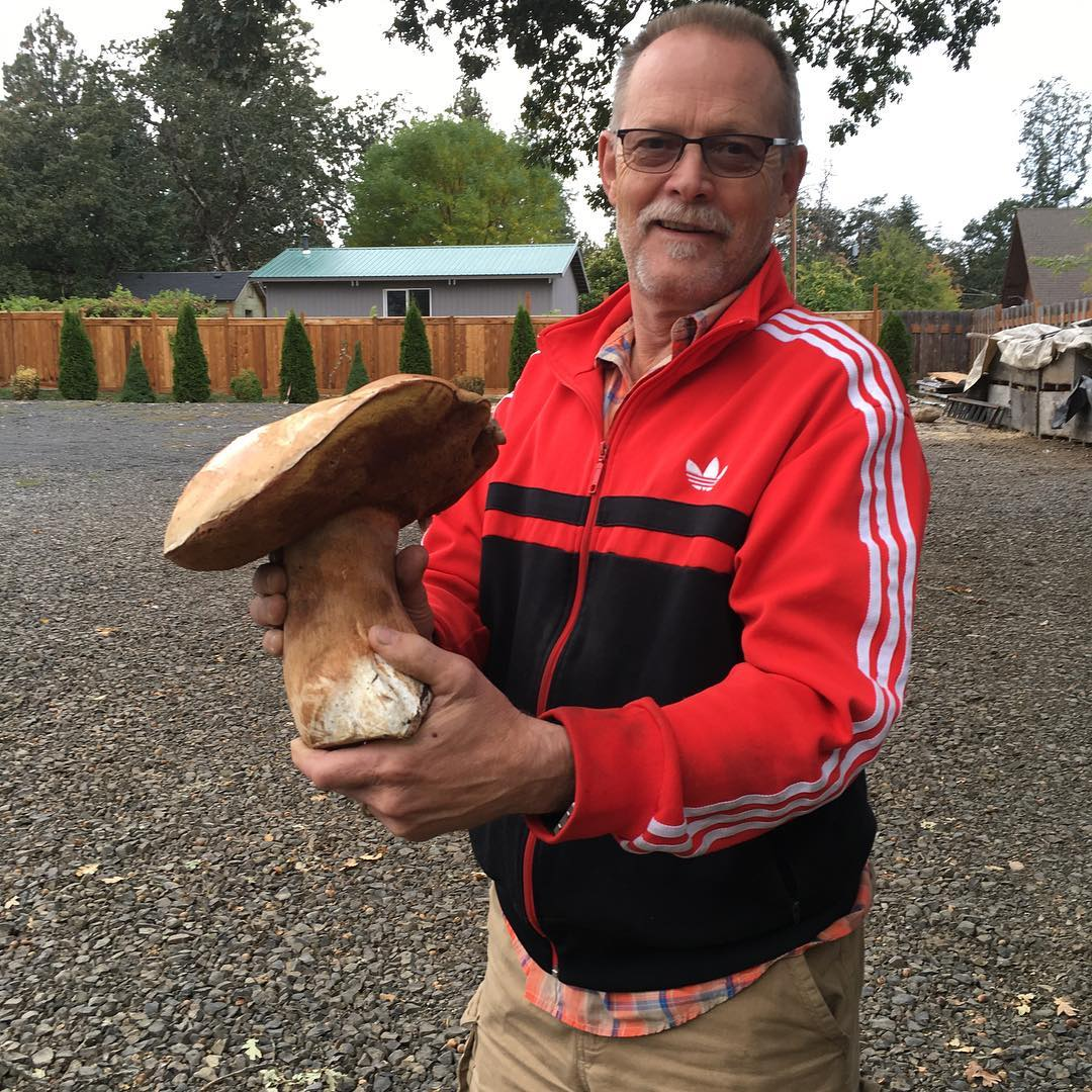 King Bolete found in Columbia Gorge AVA