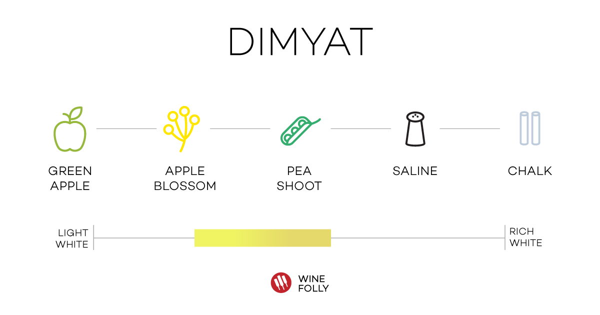 dimyat-tasting-notes-wine-folly