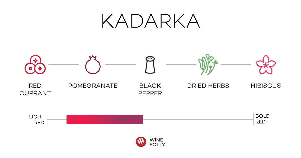 Kardarka (aka Gamza) Tasting Notes Bulgarian wine Wine Folly