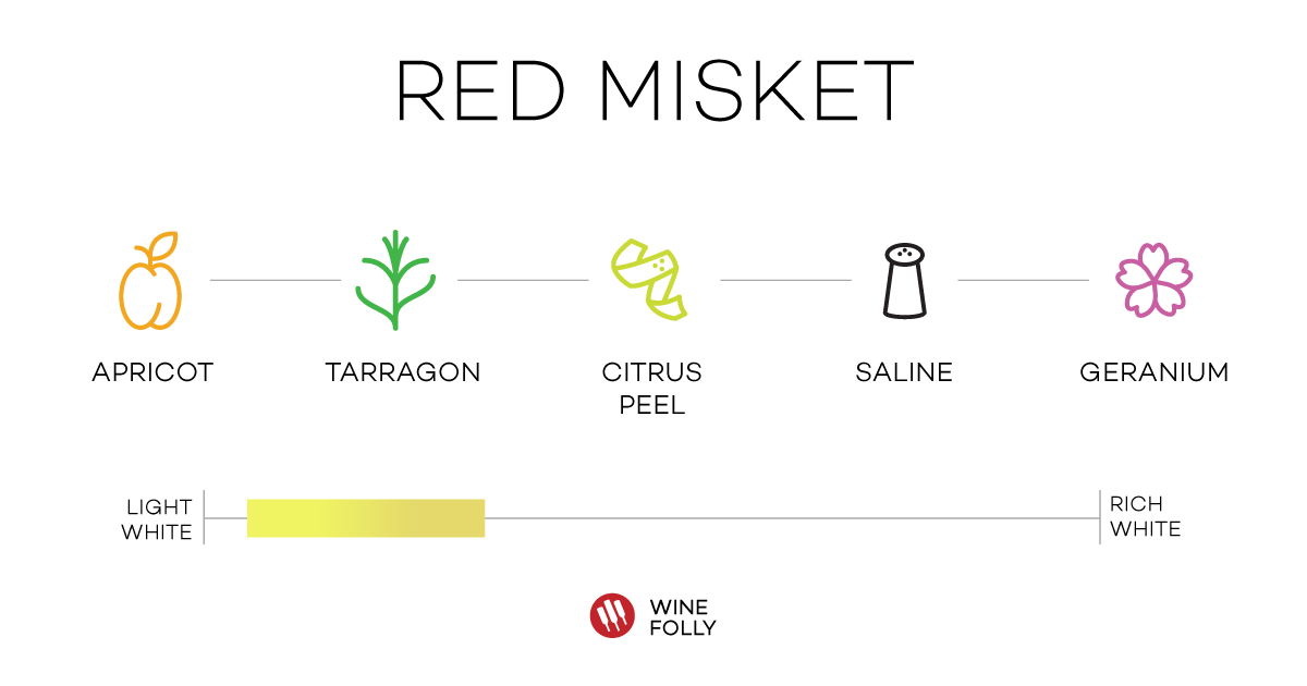 Red Misket Tasting Notes Bulgarian wine Wine Folly